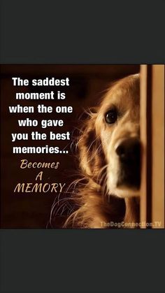 the saddest moment is when the one who gave you the best memories become a memory