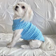 a white dog wearing a blue sweater sitting on top of a couch next to a remote control