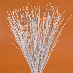 a vase filled with white branches on top of a wooden table next to an orange wall