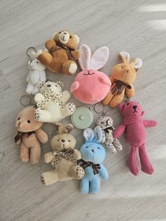 several stuffed animals are arranged on the floor with one being a keychain and another is a teddy bear