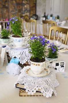 the table is set with teacups and potted plants on top of doily