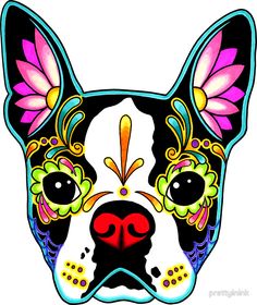 a boston terrier dog with colorful day of the dead sugar skull tattoos on it's face