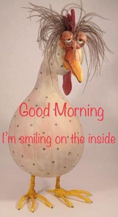 a chicken that is standing up with the words good morning i'm smiling on the inside