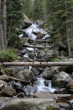 a stream running through a forest filled with lots of rocks