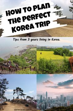 After three years of living in & exploring South Korea, here's my ideal Korea itinerary for two weeks or less, customizable for every season and length of stay. But I really do recommend spending 2 weeks in Korea, from Seoul to Suncheon and on to Jeju and then Jeonju. | #busan #south #korea #travel #asia #seoul #itinerary #jeju #blog #food #what #to #suncheon #eat #see #hotels #hostels #jeonju #guesthouse #hotel South Korea Itinerary, Seoul Itinerary, Living In Korea, Travel Asia