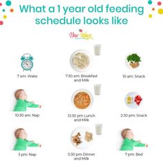 the baby's schedule is full of food and drinks for each child to eat