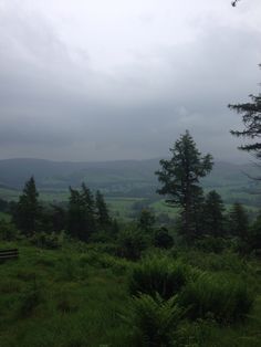 a bench in the middle of a grassy field with trees and mountains in the background