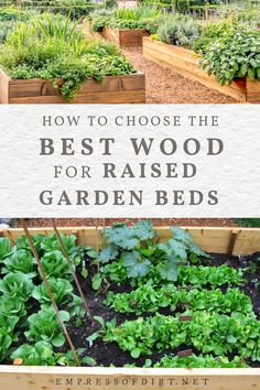 Raised garden beds with vegetables and herbs. Vegetable Garden Layout Design, Raised Garden Bed Plans, Vegetable Garden Raised Beds, Diy Raised Garden, Garden Design Layout, Garden Types, Garden Architecture