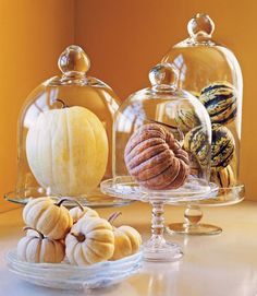 there are many different types of pumpkins under glass clochets on the table