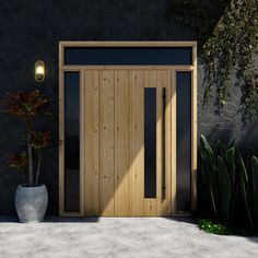 an entrance to a building with a potted plant next to it and a light on