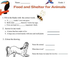 food and shelter for animals worksheet with pictures to help students understand what they are