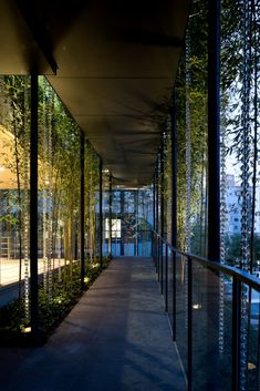 the walkway is lined with plants and glass walls