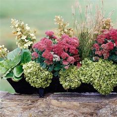 some red flowers and green plants are in a black planter on a stone wall