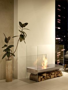 a fire place in the middle of a room with a potted plant next to it