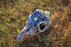 an animal's head in the grass is covered with broken glass and other things