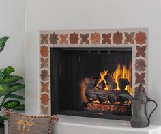 a fireplace with a fire in it next to a potted plant and a pillow