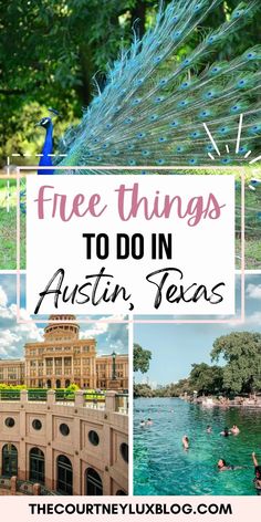 the top things to do in houston texas with text overlay that reads free things to do in austin, texas