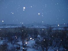 snow is falling on the ground and trees