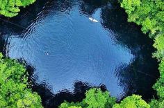 an aerial view of a lake surrounded by trees