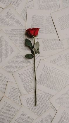 a single red rose sitting on top of an old book page covered in pages that have been folded down