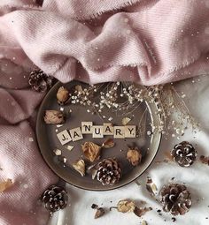 a plate with the word january spelled in scrabbles and pine cones on it