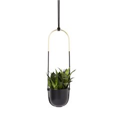 a potted plant hanging from a metal hook