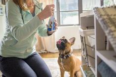 a woman kneeling down next to a dog on the floor with a bottle in it's mouth