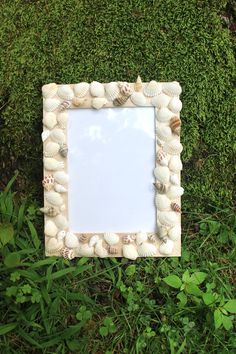 a frame made out of seashells sitting in the grass next to some plants