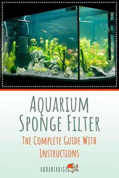 an aquarium filled with fish and plants next to the words, aquarium sponge filterr