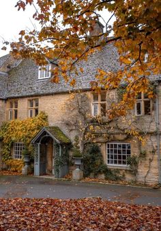 an old stone house with ivy growing on it's walls and windows, surrounded by autumn leaves