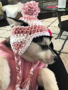 a dog wearing a knitted hat and sweater with pompom on it's head