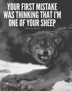 a wolf with its mouth open and the words, your first mistake was thinking that i'm one of your sheep