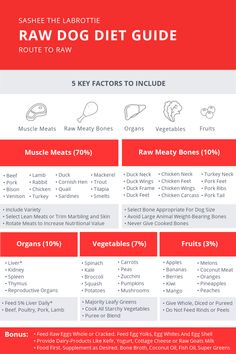 the raw dog diet guide is shown in red and white, with information about how to use