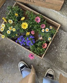 a person standing next to a box with flowers in it on the ground near their feet