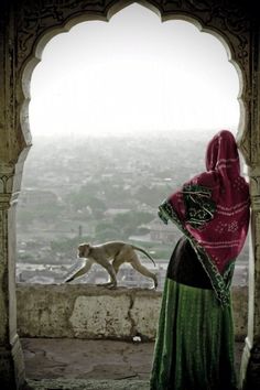 a woman standing in front of an arch looking at a cat