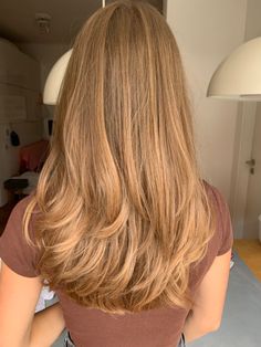 Solid Caramel Hair Color, Golden Carmel Hair, Honey Golden Brown Hair, Dark Blonde Hair Golden, Warm Beige Blonde Hair, Hot Toffee Blonde Hair, Golden Blonde Dimensional Hair, Long Light Golden Brown Hair, Golden Blonde Partial Highlights