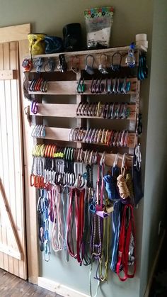 a wall mounted rack filled with lots of different colored leashs and other items next to a door