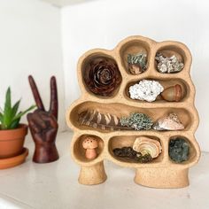 a shelf filled with rocks and plants on top of a white counter next to a potted plant