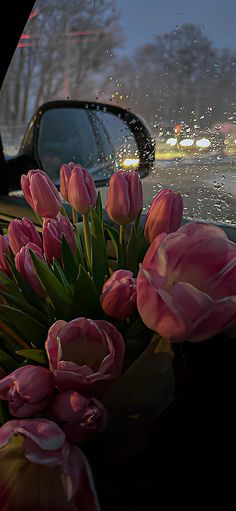 pink tulips sitting in front of a car window