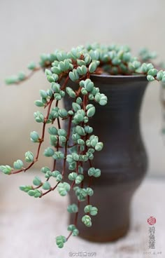 a blue vase filled with green flowers on top of a table