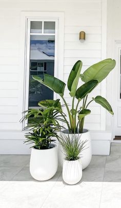 two white planters with plants in them sitting on the front steps of a house