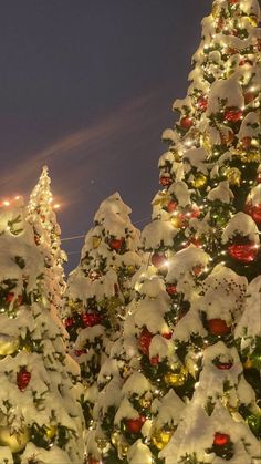 christmas trees are covered in snow and lights