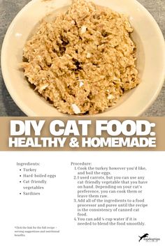 DIY Cat Food: Healthy & Homemade