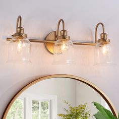 a bathroom mirror with two lights and a potted plant