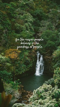 green aesthetic quotes wallpaper Green Peaceful Wallpaper, Growth Quotes Wallpaper, Calming Quotes Wallpaper, Peaceful Wallpaper Iphone, Zen Iphone Wallpaper, Happy Wallpaper Iphone, Iphone Quotes Wallpaper, Lock Screen Wallpaper Quotes, Inspirational Wallpaper Iphone