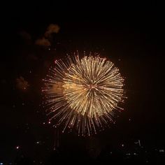 fireworks are lit up in the night sky