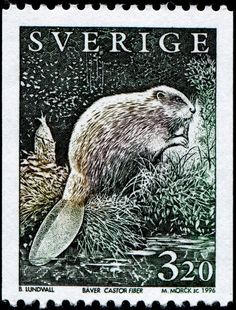 a postage stamp with an image of a beaver in the grass and another animal behind it