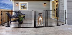 a dog standing behind a fence in front of a house