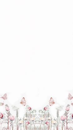 an image of flowers and butterflies on a white background