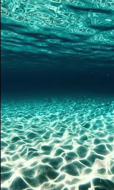 the water is very clear and blue with little ripples on it's surface